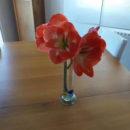 Dom wakacyjny Casa Jose Y Maria